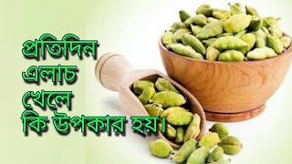 Pratidin elach khele ki upokar hoy Elaich Benefits in Bangla [upl. by Alisander]