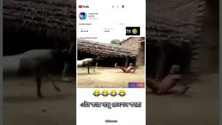 ভেকচিনের পাওয়ার shortsvideo comedy 100milionviews comedyvideos funny duet 100millonviews [upl. by Figone]