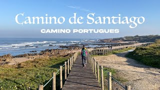 Camino de Santiago  Camino Portugues 2022  Porto to Santiago  11 Days  280KM 175 miles [upl. by Marius793]