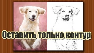 Как из фотографии оставить только контур [upl. by Airun]