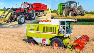 Aratás 2024  Claas Dominator 88  Merci motoros MTZ  Belarus 8922 [upl. by Daria]