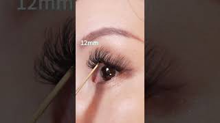 Natural Look Eyelash Extensions Kit 1 Box 60D 80D 1018mm Individual False Eyelashes [upl. by Atena517]