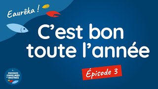 POISSONS COQUILLAGES ET CRUSTACÉS  C’EST BON TOUTE LANNÉE Eaurêka 3 [upl. by Kwan]