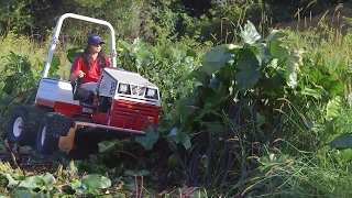 Macadamia Farmers Restore Neglected Farm with a Ventrac [upl. by Oisangi]