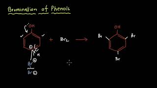 Bromination of Phenols  Electrophilic aromatic substitution  Organic Chemistry  Khan Academy [upl. by Lissner68]