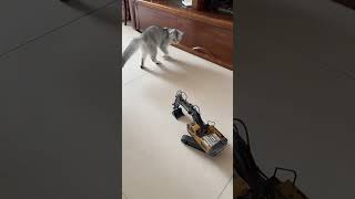 cat playing with toy excavator [upl. by Desiree]