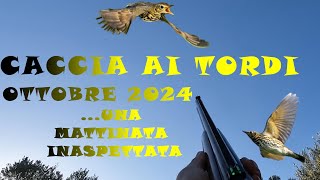 CACCIA AI TORDI OTTOBRE 2024 [upl. by Etteoj291]