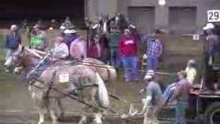 Draft Horse  Michigan Great Lakes International  MSU 2006 [upl. by Iilek356]