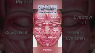 Dr Wolf’s Precision Individualized Facial Aesthetics [upl. by Adhamh]