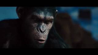 Rise of the planet of the apes  No scene [upl. by Arden]