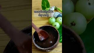 Amla Oil for Hair growthHome made amla oilamlaindian gooseberryamla oilamla hair growth oil [upl. by Tresa229]