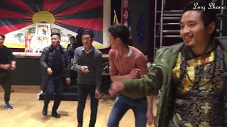 Tibetan popular dances 2016 in Paris [upl. by Neoma]