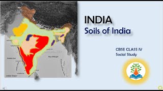 Soils of India  What are the soils of India explain How are soil classified [upl. by Bowra227]