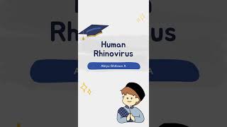 HUMAN RHINOVIRUS [upl. by Idaline861]