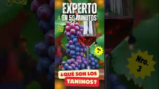 ¿Qué Son Los TANINOS Saber de Vinos en 50 MINUTOS  Tutorial de VINOS [upl. by Ynafets]