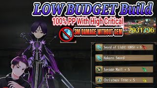 Toram Online  Dual Sword  LOW BUDGET UNTRADE BUILD 100 PP HIGH CRITICAL [upl. by Schenck]