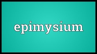 Epimysium Meaning [upl. by Lesab496]