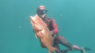 Spearfishing Geraldton amp The Abrolhos Islands  Part 3 [upl. by Notnad]