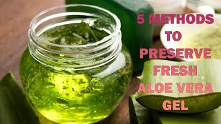 Preserve Aloe Vera Gel At Home [upl. by Lyj900]