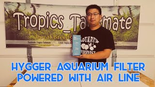 Aquarium Fluid Bed Filter with Bio Media and Filter Sponge [upl. by Ardeha277]