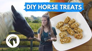 DIY HORSE TREATS that even I can cook 😂 [upl. by Nrubloc]