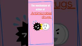 MECHANISM OF ACTION OF ANTIMICROBIAL DRUGS [upl. by Baudelaire3]