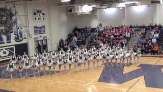 2013  2014 TWHS Highsteppers Team Kick 02222014 [upl. by Ayila242]