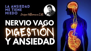 ANSIEDAD Digestión NERVIO VAGO y Síntomas [upl. by Sherwin]