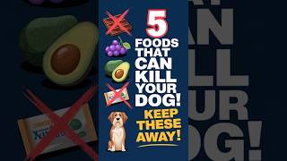 5 Dangerous Foods That Can Kill Your Dog pethealthtips doghealth dogcaretips shortvideo [upl. by Virgin]