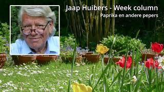 Jaap Huibers  Week column  Paprika gezond met een kleine waarschuwing [upl. by Siro793]