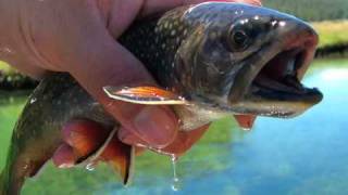 TackleTour  Fishing for Brook Trout in Yosemite [upl. by Annohs929]