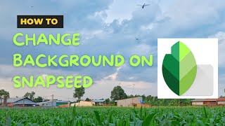 How to Change Background in Snapseed [upl. by Con]