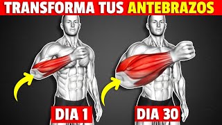 ✅10 Ejercicios Para ANTEBRAZOS GRANDES Y VENOSOS en casa  Entrenamiento para mejorar tus antebrazos [upl. by Clorinde]