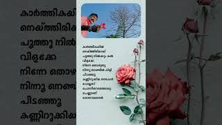 muttathethum thennale song WhatsApp status [upl. by Diskin376]