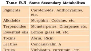 BIOMOLECULE ll PART2 ll METABOLISM ll जैवअणु ll NCERT READING [upl. by Aveer]