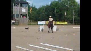 2 und 3 Platz beim Turnier in Bissendorf für Nicola Steiner mit Stute Fancy [upl. by Christin968]