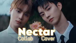 VOCAL COLLAB COVER THE BOYZ  NECTAR [upl. by Eiramrefinnej]