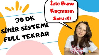 30 Dk da AYT Sinir Sistemi Full Tekrar [upl. by Iht]