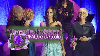 Un ramito de violetasIndia Martínez Pasión Vega Sole Giménez y José Mercé 4K MiQueridaCecilia [upl. by Rim487]