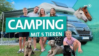 WohnmobilTour mit 3 Hunden und 2 Pferden  ARD Reisen [upl. by Lledyr]