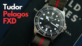 Tudor Pelagos FXD Review The best Pelagos yet [upl. by Sleinad]