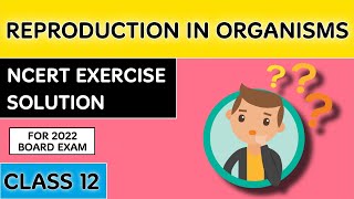 NCERT Exercise Solution Of Reproduction in Organisms Class 12  Chapter 1  By Study With Bishu [upl. by Emee]