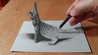 How To Draw A 3d Crocodile [upl. by Wootten66]