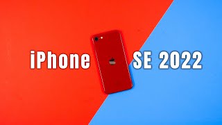 The iPhone SE 3rd Gen in 2024 Still Worth It [upl. by Thorlie]