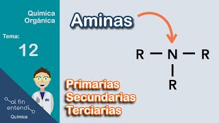 Nomenclatura y Clasificación  Ejemplos y Ejercicios [upl. by Llahsram326]