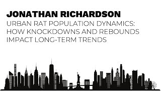 Urban Rat Population Dynamics How Knockdowns and Rebounds Impact LongTerm Trends [upl. by Amos]