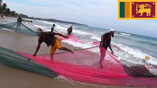 Fishing Trincomalee Sri Lanka [upl. by Anead]