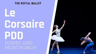 Le Corsaire Pas de Deux  Marianela Nunez amp Vadim Muntagirov [upl. by Alyl382]