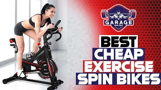 Best Cheap Exercise Spin Bikes Reviewed [upl. by Eelam]