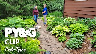 Hosta Types  Selecting and Growing Hostas  Prairie Yard amp Garden 3703 [upl. by Nomyt]